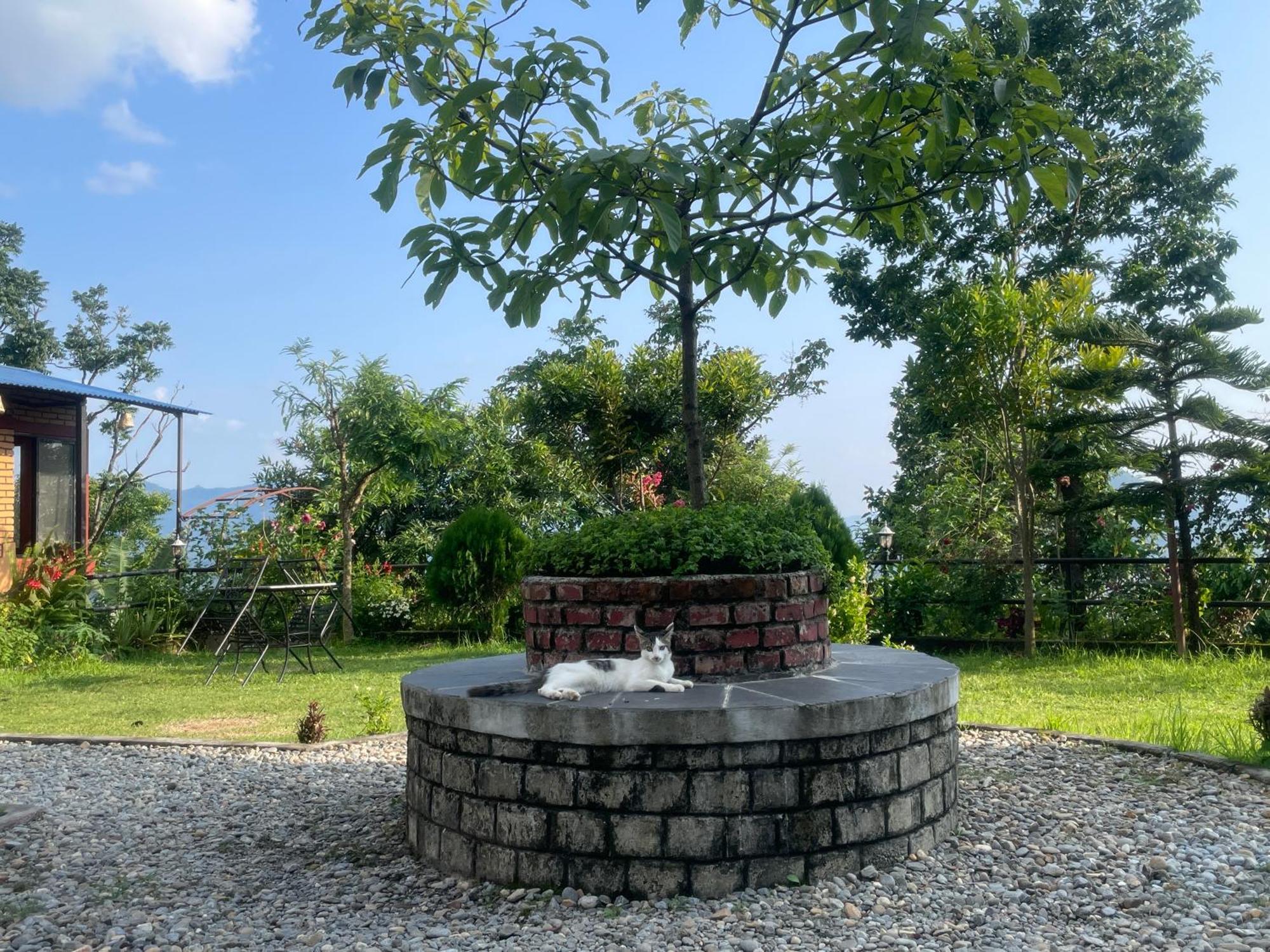 Himalaya Serene View Guest House & Farm Stay Deorāli Exterior foto